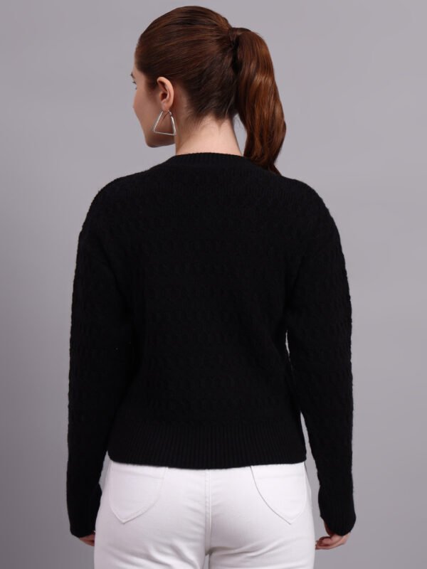 S17_BLACK_01_3 Embroidered Floral Texture Crew Neck | Premium Acrylic Wool Black Knitted Sweater