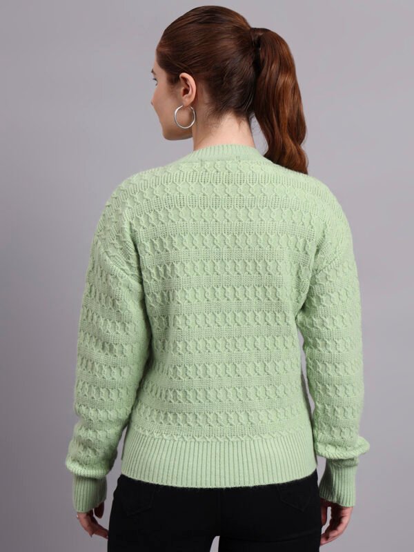 S17_LIGHTGREEN_01_3 Embroidered Floral Texture Crew Neck | Premium Acrylic Wool Light Green Knitted Sweater