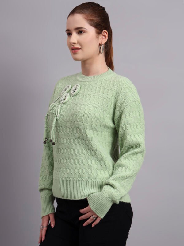 S17_LIGHTGREEN_01_4 Embroidered Floral Texture Crew Neck | Premium Acrylic Wool Light Green Knitted Sweater