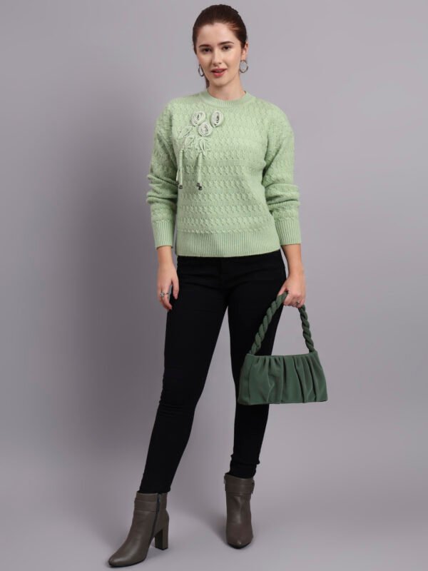 S17_LIGHTGREEN_01_7 Embroidered Floral Texture Crew Neck | Premium Acrylic Wool Light Green Knitted Sweater