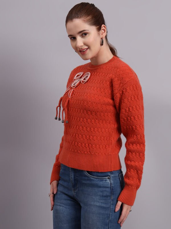 S17_RUST_01_4 Embroidered Floral Texture | Premium Acrylic Wool Rust Knitted Sweater