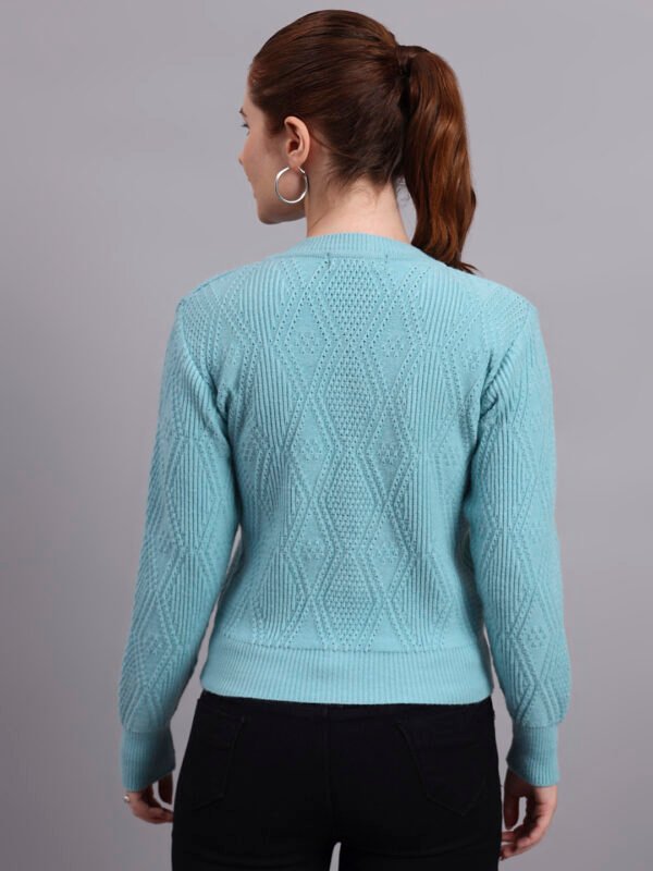Daisy Embroidered Knit Cardigan | Premium Acrylic Wool Cool Green Women Sweater