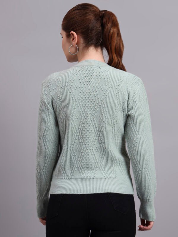 Daisy Embroidered Knit Cardigan | Premium Acrylic Wool Pista Green Women Sweater