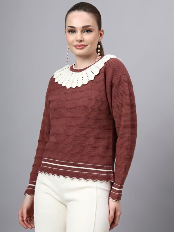 S28_BROWN_01_3 Shawl Collar Self Design Design With Premium Acrylic Wool Women Knitted Top & Sweater