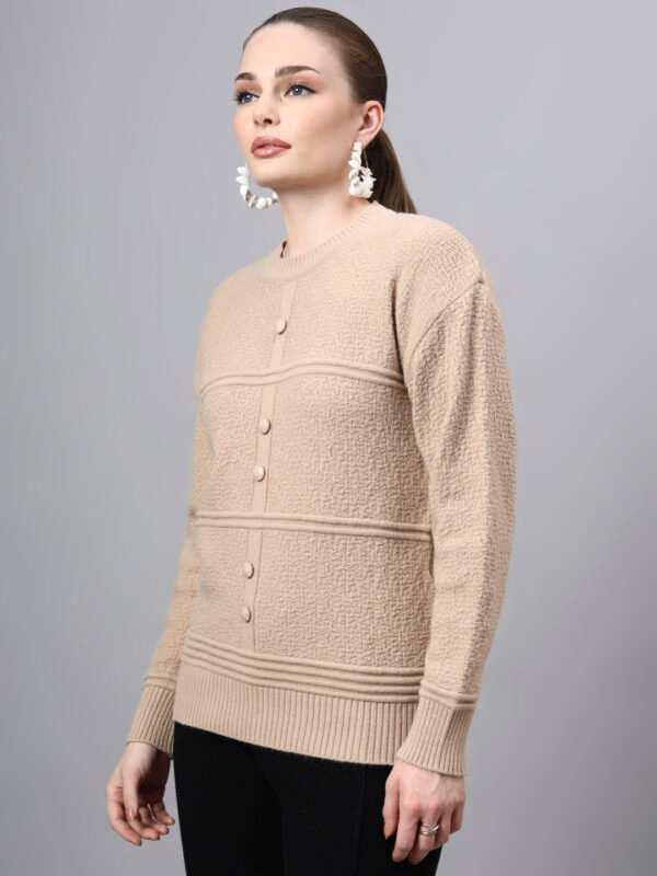 S31_BEIGE_01_3 Round Neck Self Design Design With Premium Acrylic Wool Women Knitted Top & Sweater