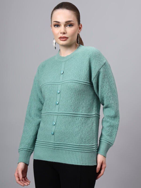 S31_PISTA_01_3 Round Neck Self Design Design With Premium Acrylic Wool Women Knitted Top & Sweater