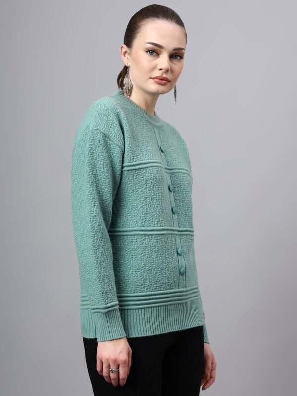 S31_PISTA_01_4 Round Neck Self Design Design With Premium Acrylic Wool Women Knitted Top & Sweater