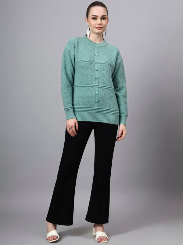 S31_PISTA_01_6 Round Neck Self Design Design With Premium Acrylic Wool Women Knitted Top & Sweater