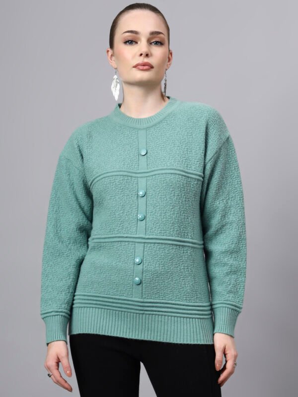 S31_PISTA_01_7 Round Neck Self Design Design With Premium Acrylic Wool Women Knitted Top & Sweater