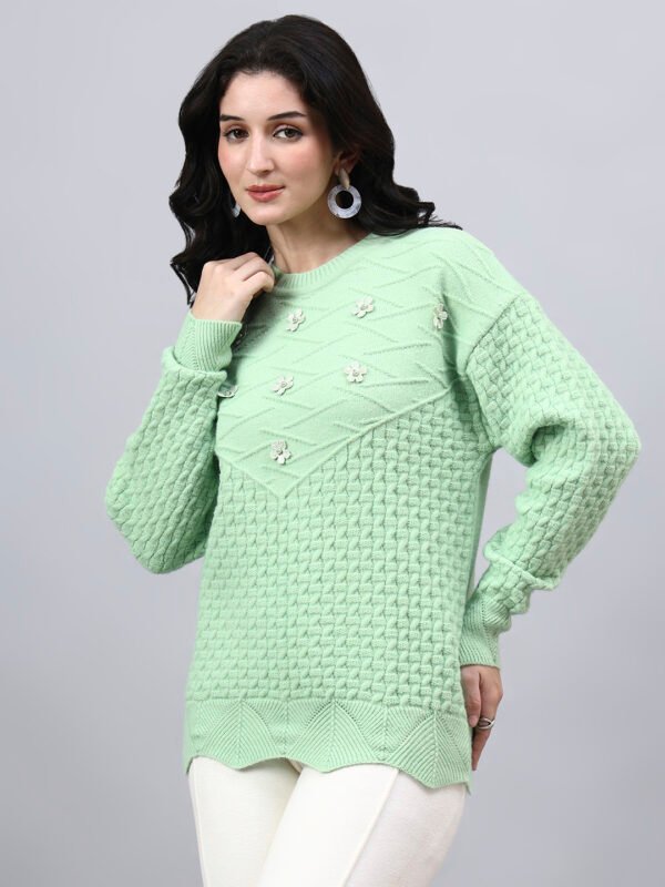 S33_PISTA_01_3 Round Neck Geomatric With Patch Work Design With Premium Acrylic Wool Women Knitted Top & Sweater